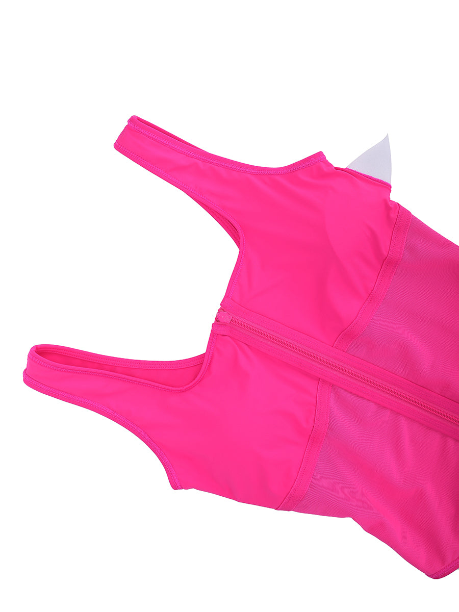 Shapewear Seamless Swimsuit