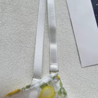 Lingerie Lemon