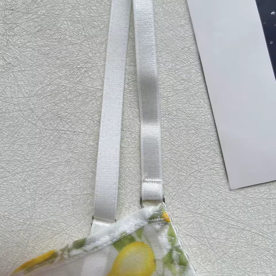 Lingerie Lemon